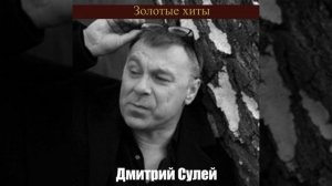 Очень красивая музыка!Дмитрий Сулей-Стих!