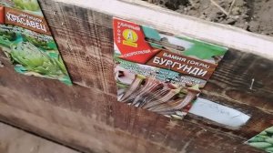 Сажаю в теплицах семена капусты и цветов на рассаду.Пою песню на мои стихи про Байкал.