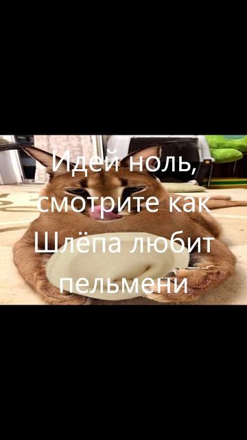 Шлёпа смотреть онлайн