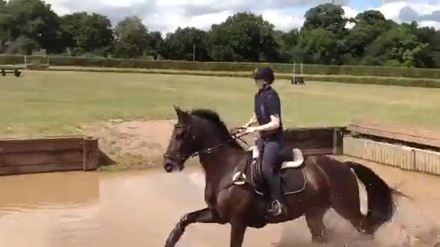 Bentley cross country jumping смотреть онлайн