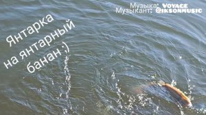 03.04.25 Ловля форели на спиннинг. РК Налим.