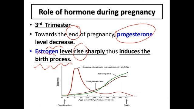 T9 Roles Of Hormone During Pregnancy and Parturition