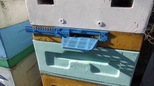 ставлю магазин в апреле на отводок с пчелами переведеннми на ячейку 5,6 мм, 3.04.2025