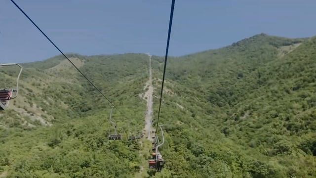 геленджичек / сафари-парк смотреть онлайн