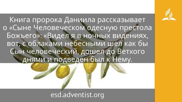 4 апреля 2025 Сын Человеческий. Под сенью благодати Адвентисты