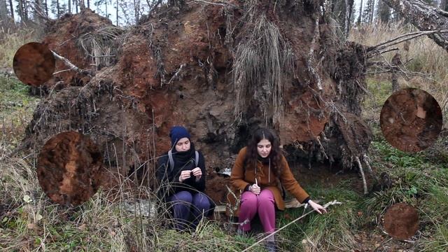 Овладевая Липе(с)ки. Серия 5 смотреть онлайн