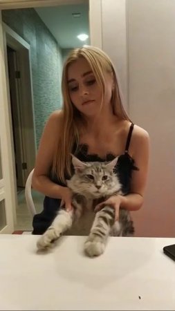 [720] VID_20200815_020153.mp4