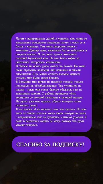 В огне ради жизни: как Я спасла котят, но потеряла себя!