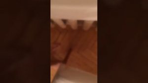 megakikiboy   итоги пранка