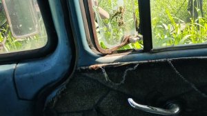 Заготовка сенажа