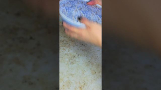 Маринованная редиска. Закуска к шашлыку