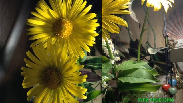 МОИ ВЕСЕННИЕ БУКЕТЫ смотреть онлайн