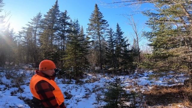 Green Mountain Boys Take on Maine (Buck Tracking) смотреть онлайн