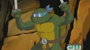 TMNT AMV Turtles Forever All about us
