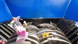 SHREDDING STRETCH SCREAMER TOY! AMAZING VIDEO!