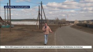 Жители деревни Буреть стали свидетелями авиакатастрофы в Ир