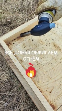 Санитарные работы на пасеке