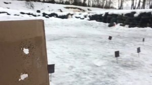 Выбор патрона для самообороны с ружьем