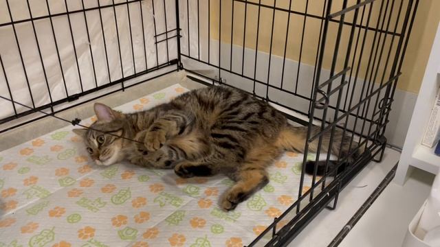 03-04-2025 смотреть онлайн