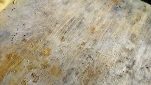 пихтовое масло после облёта 2025