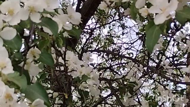 1 июня 2023 г. смотреть онлайн