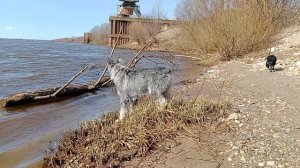 Алард и много воды