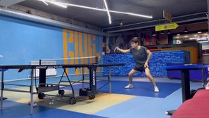 Butterfly Zhang Jike ALC CS