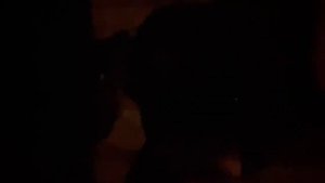 Квест "Не дыши"