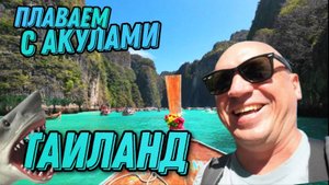 Акулы в Таиланде, острова Пхи Пхи, путешествие на Пхукет из Паттайи на выходные