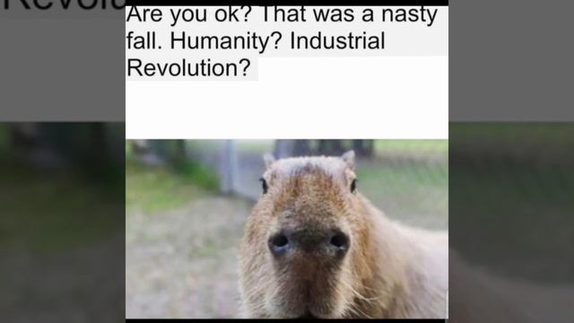 return to capybara смотреть онлайн