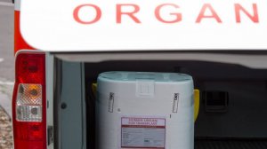 Большой бизнес: Украина стала крупнейшим рынком продажи органов
