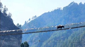 Супер-гид Клуба 7 Вершин Андрей Березин о втором дне треккинга по долине Кхумбу