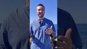 Что взять для видео блога iPhone 12 Pro max или iPhone 13 Pro