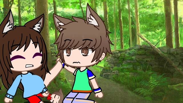 a wolf give birth in the forest now enjoy the video🤗🥰😍😘😇💝 смотреть онлайн