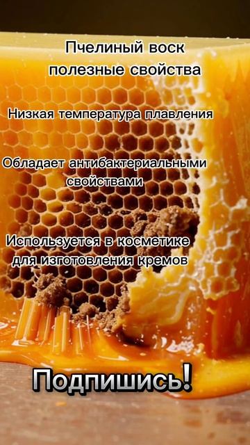 Пчелиный воск польза
