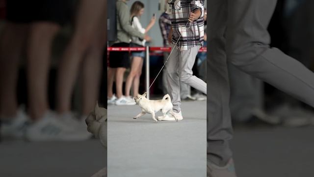 Fanhil Haus Lord of The Rings смотреть онлайн