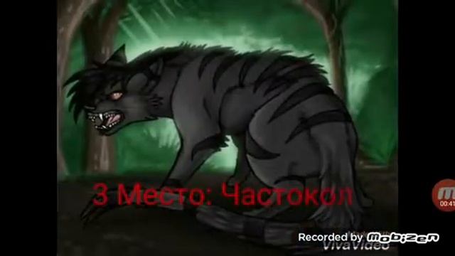 Топ 5 сильных котов воителей !