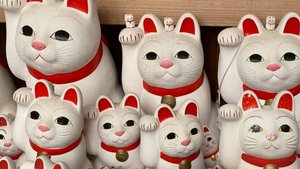 Путешествие в Японию, часть 4 | Токио