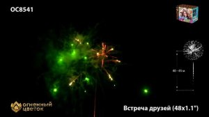 ОС8541 Встреча друзей (1,1" х 48) 1/6