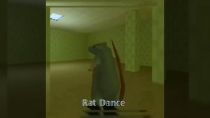 ℝ𝕒𝕥 𝔻𝕒𝕟𝕔𝕖