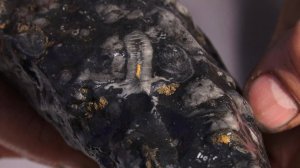 Житель Златоуста нашёл окаменелости возрастом около 250 миллионов лет