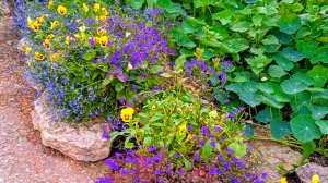 деревенская усадьба