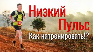 Как натренировать Низкий Пульс?