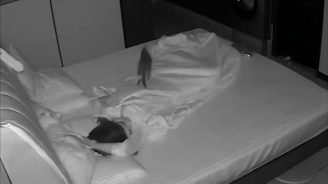 Котейки всегда убаюкают смотреть онлайн