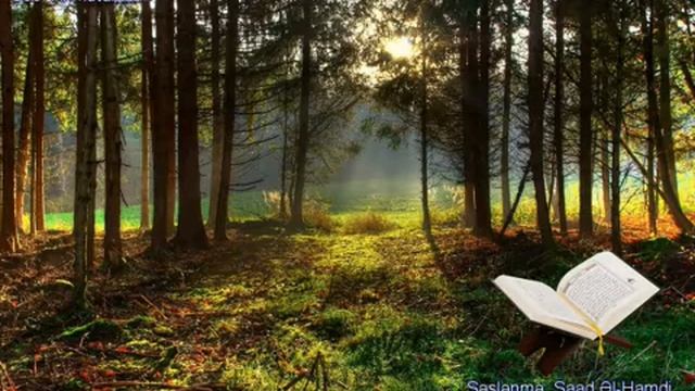 083. Сура Аль-Мутаффифин
Прекрасное чтение Корана Чтец: Саадом Аль Гамиди смотреть онлайн