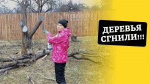 Даченька #69 Деревья сгнили!?