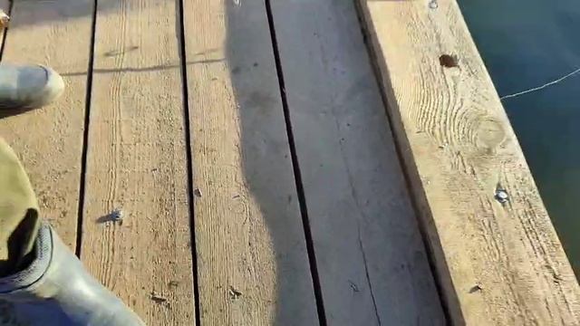 Онлайн.Спортзона