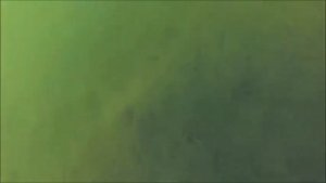 Ловля раков руками! Подводная съёмка!