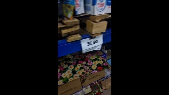 Доброцен Обзор Цен Магазина
