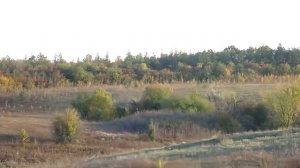 Донецкая степь осенью.